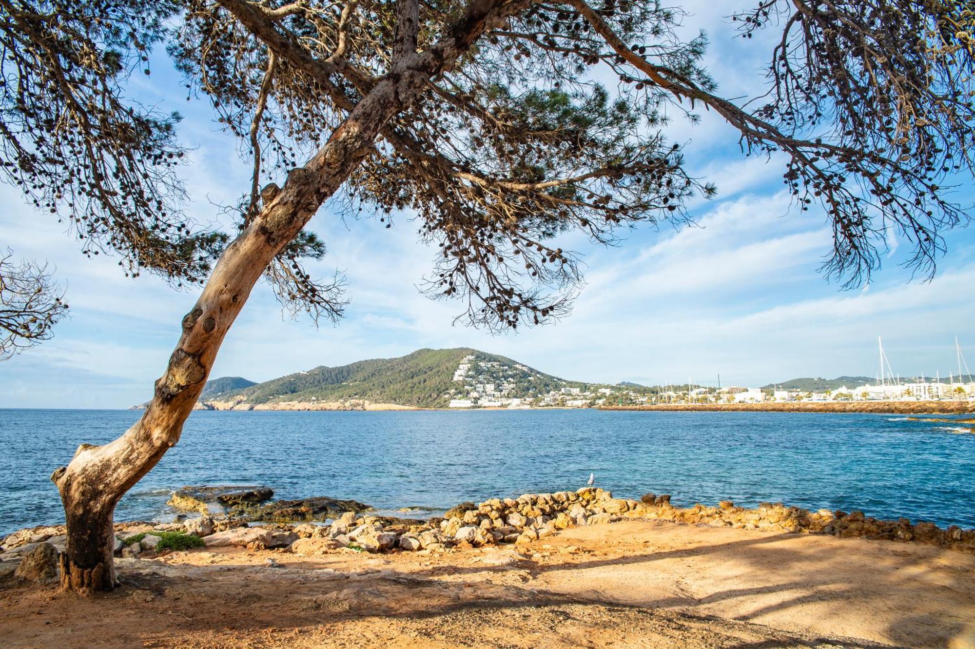 Pierre & Vacances Ros Ibiza ซานตาเอวเลเรียเดสริว ภายนอก รูปภาพ